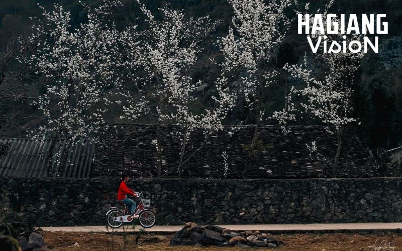 Enjoy quieter destinations and slow travel experiences in Ha Giang in spring