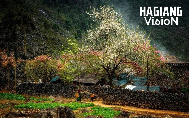 Ha Giang in February creates quieter roads and deeper travel moments
