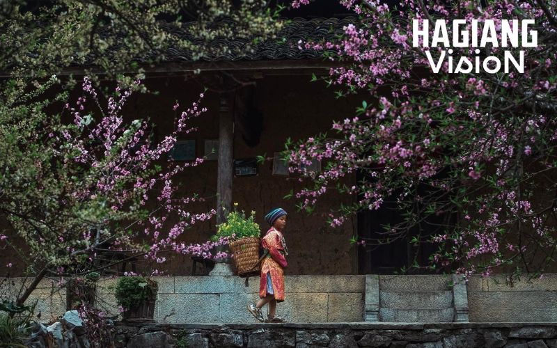 Ha Giang in January showcases authentic winter village life