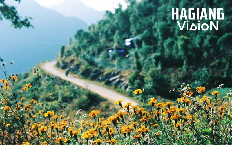 Ha Giang in March features peaceful roads before crowds arrive