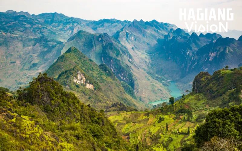 Ha Giang in April transforms landscapes into vibrant green scenery