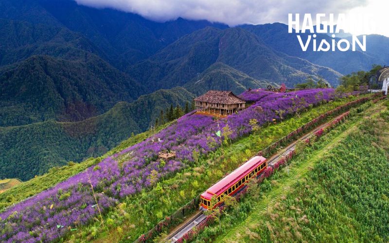 The journey Ha Giang to Sapa stretches roughly 240 km