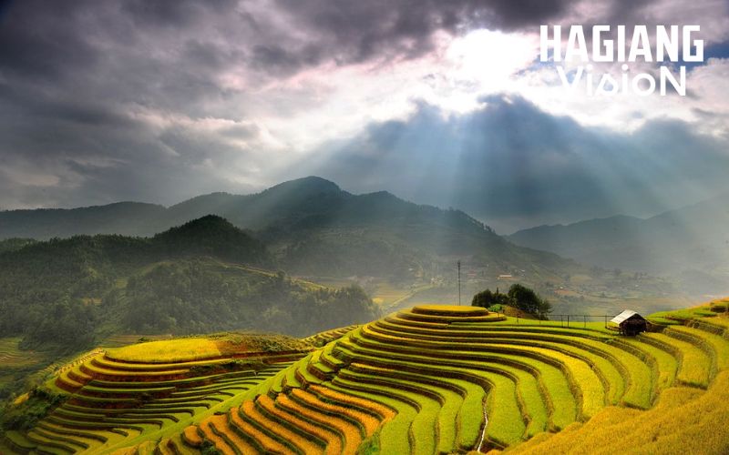 Join Daily Local Life Activities Nam Dan Village