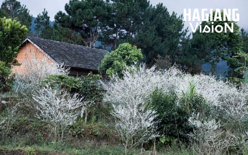 Overview Of Nam Dan Village Ha Giang